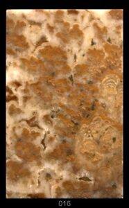 Dimensioni: 11,8 x 7,6 x 1,5 cm