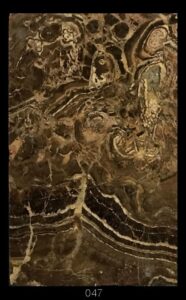 Dimensioni: 11,7 x 7,6 x 1,6 cm