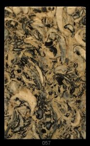 Dimensioni: 11,9 x 7,7 x 1,7 cm