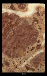 Dimensioni: 11,7 x 7,7 x 1,6 cm