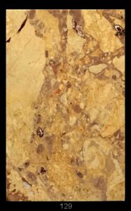 Dimensioni: 11,8 x 7,7 x 1,6 cm