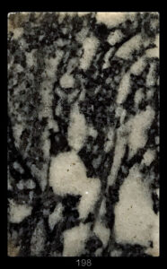 Dimensioni: 11,7 x 7,8 x 1,3 cm