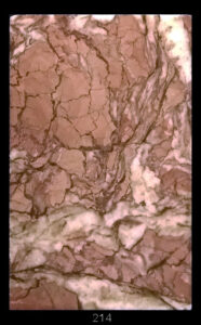 Dimensioni: 11,9 x 7,6 x 1,9 cm