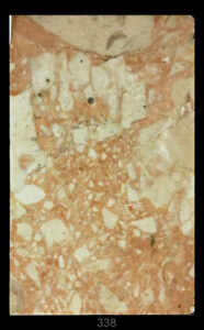 Dimensioni: 11,8 x 7,7 x 1,7 cm