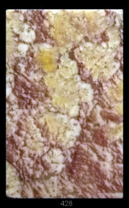 Dimensioni: 11,7 x 7,7 x 1,6 cm
