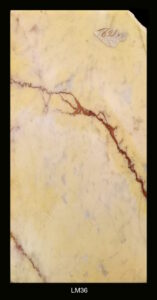 LM36-157x300 Marmi misti