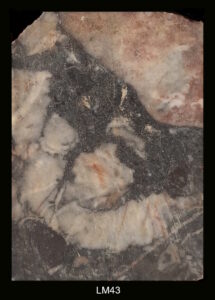 LM43-215x300 Marmi misti