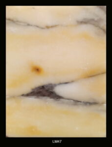 LM47-229x300 Marmi misti
